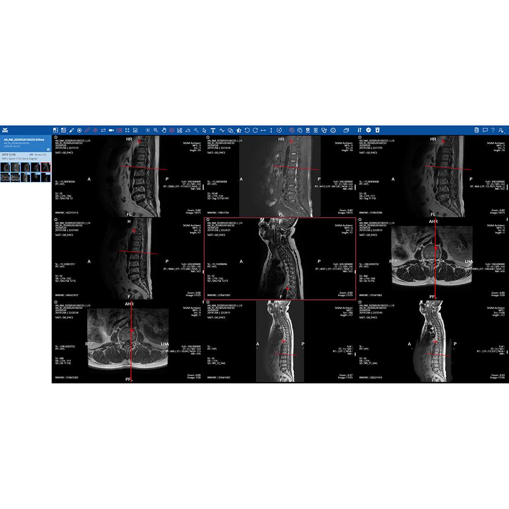 [SmartCareworks Inc] GoWIX