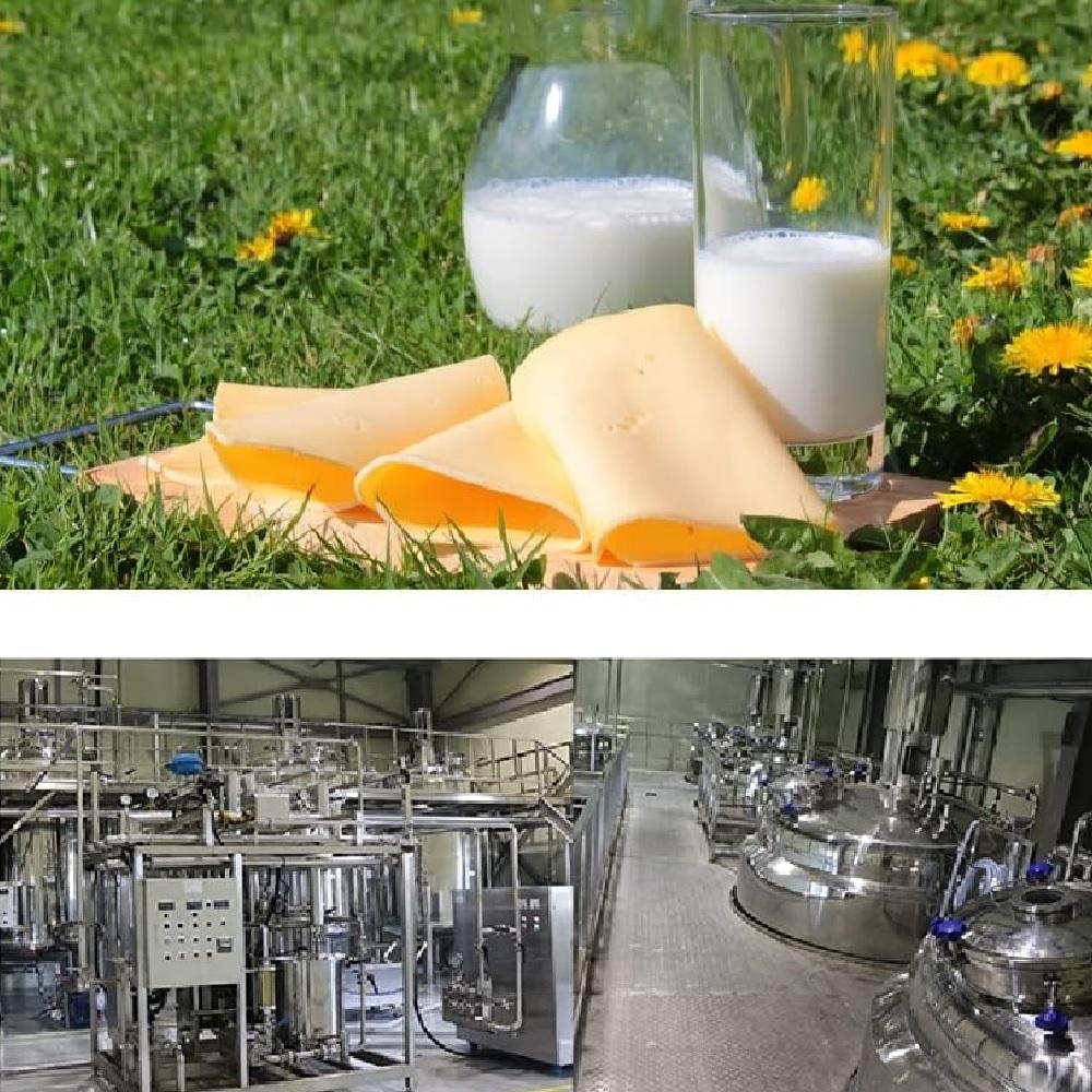 Dr.Holi Pet Goat's Milk for Dogs and Cats(6.08ozX10Pouch) - Free Lactose, Low Fat Milk