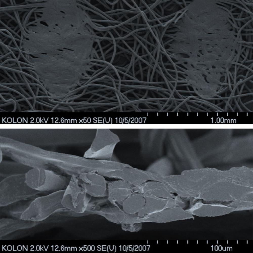 PP & BICOMPONENT STAPLE FIBER